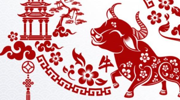 Începe Anul nou Chinezesc. Tradiții și obiceiuri pentru fericire, noroc și bani. Neapărat trebuie respectată o regulă