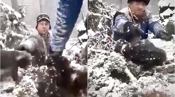 Indivizii care au chinuit patru pui de urs, găsiţi: „Ăştia au serioase probleme psihice”