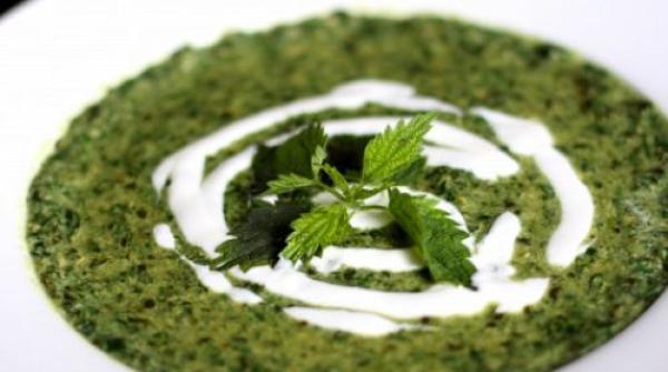 Piure de urzici cu usturoi. Rețetă simplă de primăvară, plină de vitamine. O porție de sănătate și multe beneficii