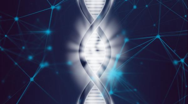 O nouă teorie a evoluției: Cum a devenit omul cea mai inteligentă specie de pe Pământ