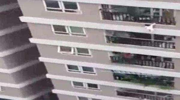 Un copil de doi ani, care a căzut de la etajul 12 al unui bloc, salvat în mod miraculos: „Totul s-a întâmplat într-un minut"