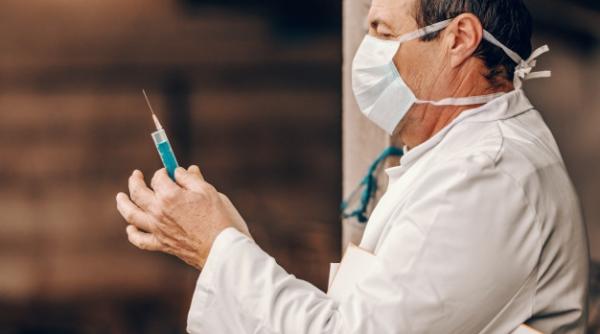 Peste patru sute de focare active de pestă porcină în România. Toată țara e lovită. Pentru aceasta boală nu există vaccin 