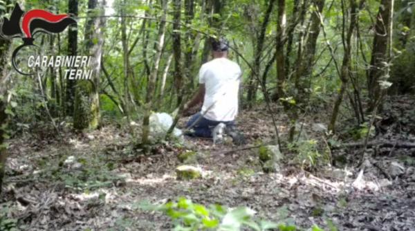 Italia. Badantă româncă, „curier neprevăzut”, arestată în dosarul „Silva”: Droguri în borcane, îngropate în păduri (VIDEO)