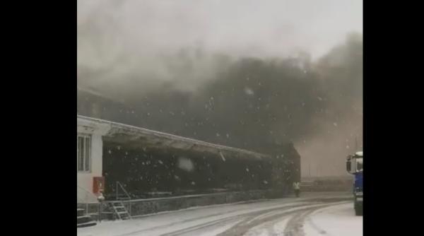 ALERTĂ! Incendiu puternic la o hală în care sunt depozitate vopsele și uleiuri, în Prahova