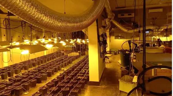 Spania. Afacerea unui român, „adaptată“ la vremuri de pandemie: Salon de nunți transformat în seră de cannabis