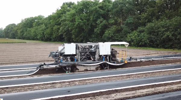 Germania. Culegătorii de sparanghel, înlocuiți de un robot. Fermier: "Are multiple avantaje" - VIDEO