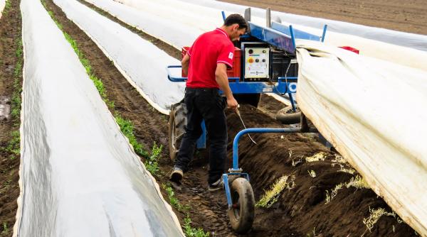 GHID pentru românii care vor să lucreze sezonier în Germania: Cât e salariul pe oră în 2021