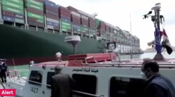 Cel puțin 130.000 de animale vii din România riscă să moară în zona canalului Suez, după ce navele au rămas blocate