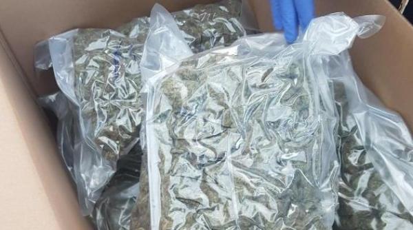 Român arestat preventiv după ce a fost prins cu 400 de grame de canabis în maşină