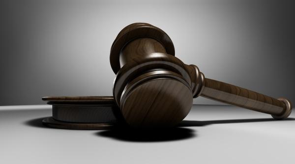 Român, condamnat la un an de închisoare cu executare pentru uciderea unui câine 