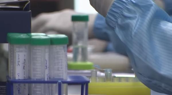 Scade preţul testelor RT-PCR. Cât costă acum testele pentru diagnosticarea SARS-CoV-2 - Consiliul Concurenței