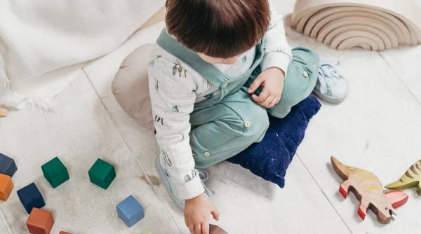 CCR a decis că banii pentru indemnizația de creștere a copiilor nu pot fi popriți