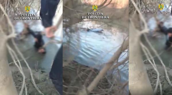 Doi migranți, la un pas de înec în râul Timiș. Salvați în ulitma clipă de poliţiştii de frontieră. Cei doi încercau să intre ilegal în România
