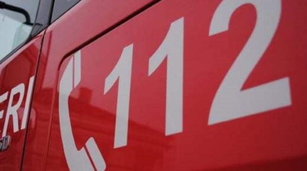 Fetița româncă de 7 ani ce a căzut într-un pârâu, scoasă din apă moartă