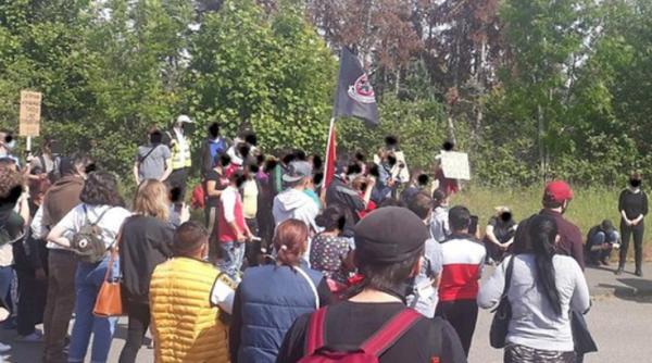 Germania. Victorie pentru românii care au protestat anul trecut la fermele de sparanghel