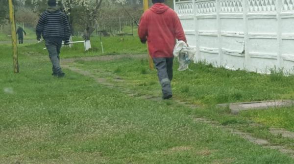 Cruzime fără margini la Galaţi, în Săptămâna Mare: Câini vii, aruncați la gunoi în saci de rafie