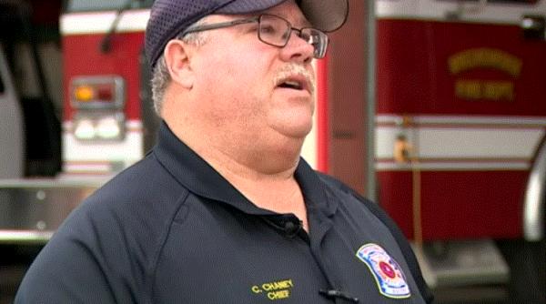 Un bărbat, care își tundea gazonul, a fost ucis de un roi de albine agresive 