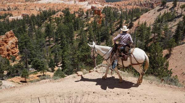 Femeie dispărută în canion în 2020, găsită în viață în mod miraculos: a mâncat iarbă și a băut apă dintr-un râu din apropiere