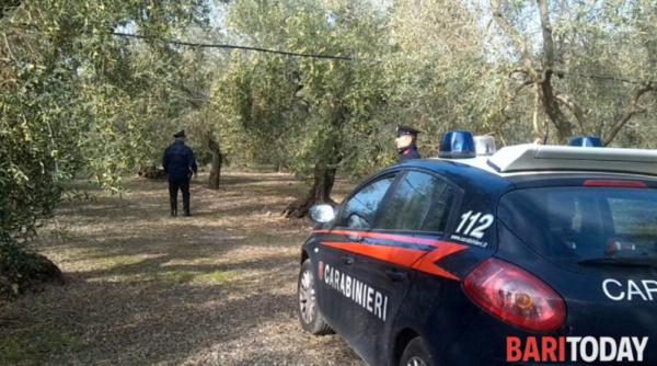 Italia. Român, ucis brutal sub ochii soției de un prieten pe care l-au invitat la cină