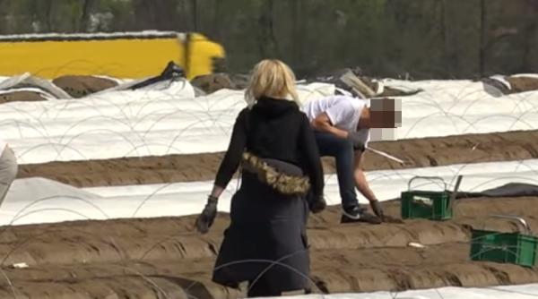 Germania. Muncitorii români, vaccinați după avalanșa testelor PCR false: „Le iau cu 10 euro. Unul din trei muncitori este pozitiv“