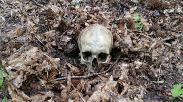 Un craniu găsit într-o pădure din Italia aparține unui român dispărut acum 18 ani. Carabinierii: "Multe semne de întrebare"
