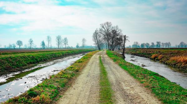 Românii din Diaspora vând toate pământurile de acasă: "Nu-i mai interesează. Se prezintă ca cetăţeni străini cunoscători de limbă română"