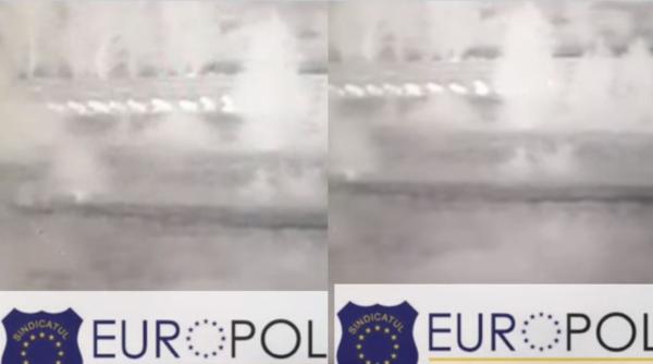 Imagini ireale cu migranți care au încercat să păcălească poliția. Bărbații s-au prefăcut că sunt oi