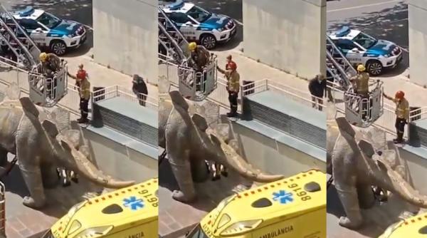 Spania. Trupul neînsufleţit al unui bărbat, găsit într-o statuie. Polița a demarat o anchetă