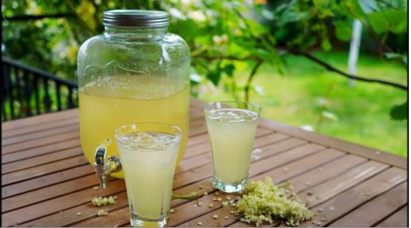 Socată de casă: Rețeta românească, autentică și cu gust răcoritor de copilărie. Acesta era secretul bunicii