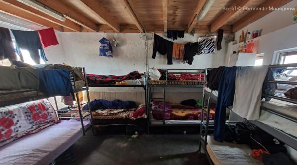 Olanda. Peste 50 de muncitori români, ținuți în „condiții deplorabile” la o fermă: „Erau vulnerabili și se temeau de patron”