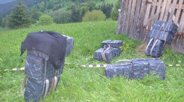 S-au tras mai multe focuri de arma la granița României