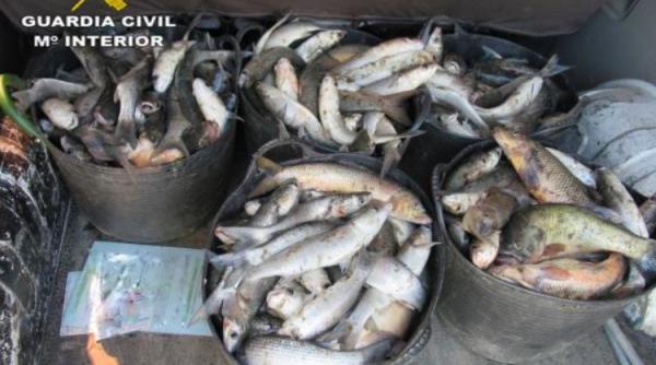 Spania. Doi pescari români au rămas fără peștele prins ilegal. Garda Civilă a confiscat 125 de kilograme de biban