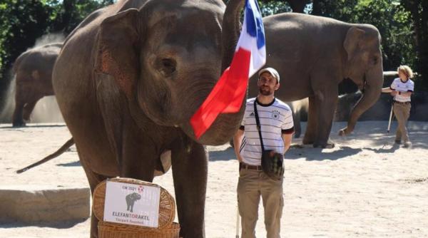 EURO 2020. Un elefant "spiritist" din Hamburg a prezis că Franţa va câştiga meciul cu Germania