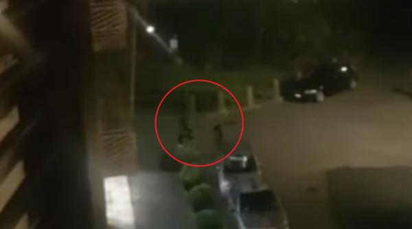 Italia. Tânăr român, bătaie cu cioburi și cuțite cu un italian: „Român de căcat, o să te ard de viu. Te voi eviscera“ (VIDEO)