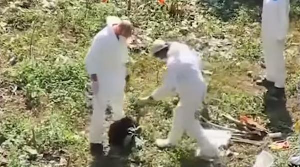 43 de studenţi dispăruți în Mexic. Au fost identificate resturile unei a treia victime: Despre 40 dintre ei nu se știe absolut nimic