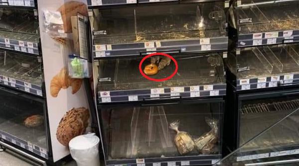 Şobolani într-un magazin din centrul Bucureştiului, chiar în raionul de patiserie: "Până unde acceptăm"