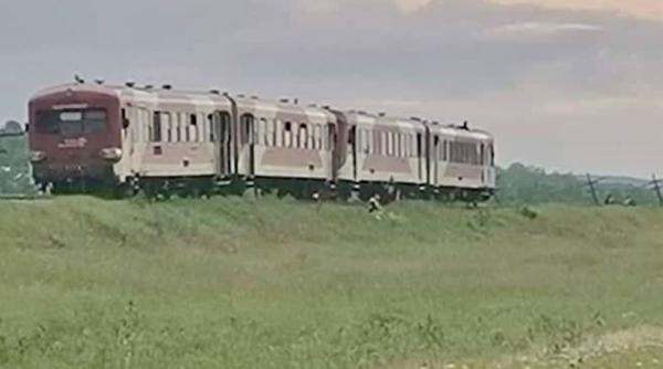 Un tren cu pasageri a deraiat pe un câmp din Botoșani, după ce o vacă a sărit pe șine
