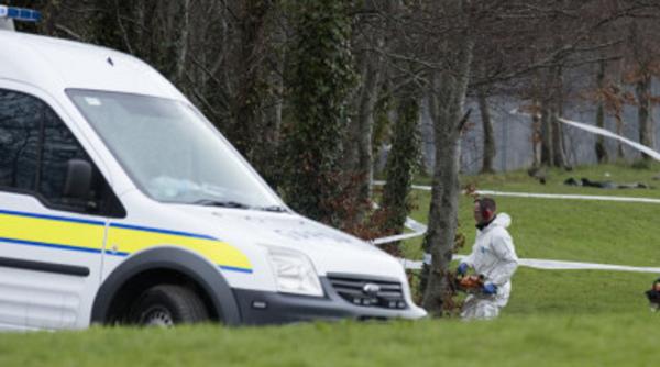 Muncitor român, ucis într-un parc din Dublin: „A fost ghemuit la pământ și bătut cu bestialitate!”