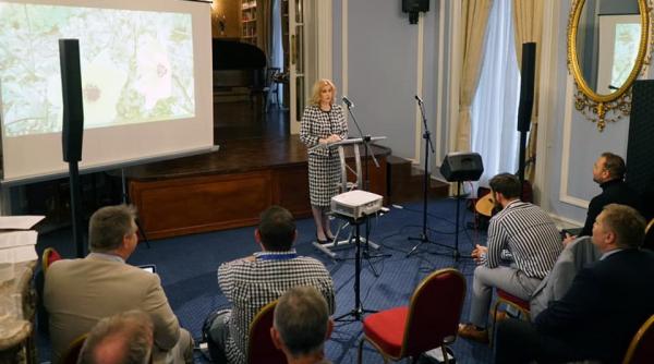 Marea Britanie: Aproape un milion de români au aplicat pentru statutul de rezident după Brexit