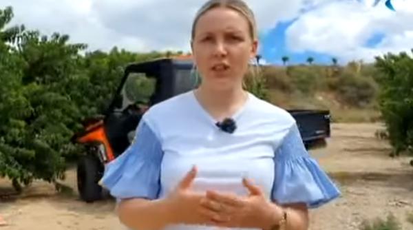 Spania. O româncă a adus o nouă tehnologie în agricultură. 300 de muncitori români o folosesc