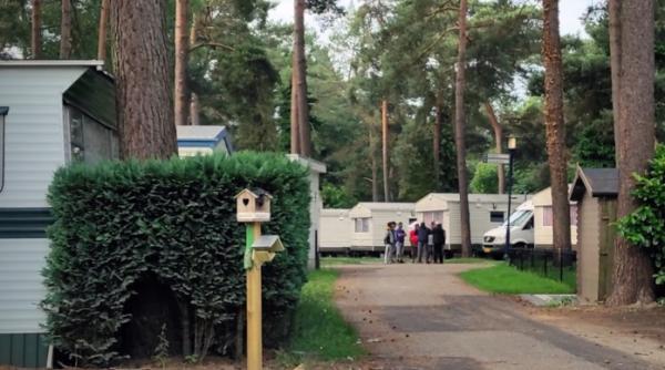 Belgia. Două autocare pline cu români, motiv de scandal într-un camping turistic: „Nu e uman pentru muncitori, nu e frumos pentru turiști“