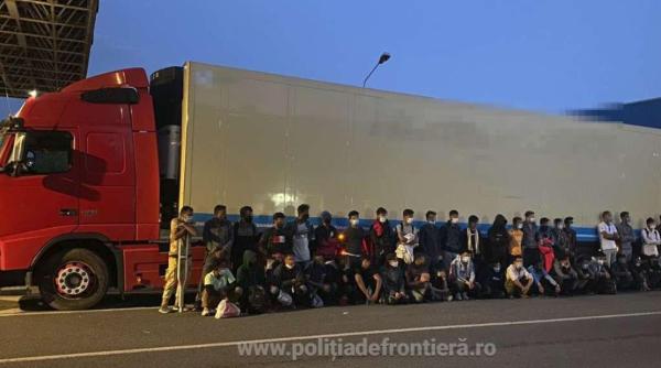 Migranţi, ascunşi în remorca frigorifică a unui TIR, care transporta oase de cai în Italia 