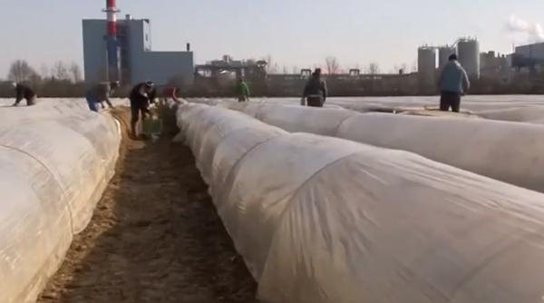 Presa din Olanda: „Românii suportă abuzurile în străinătate pentru că nimeni din țara de origine nu i-a învățat că au drepturi”