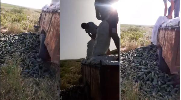 Ministrul Agriculturii, după imaginile cu fermieri aruncând castraveţi pe câmp: "Nu cred că a fost supraproducţie care să scadă preţul"