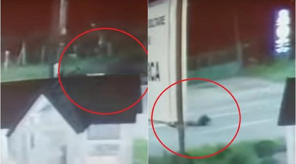 Momentul teribil în care un român a fost spulberat pe şosea. Coborâse din autocarul care-l aducea din Italia - VIDEO