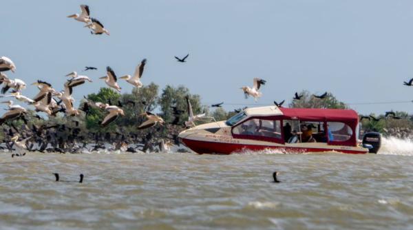 Se schimbă regulamentele de transport în Delta Dunării, din cauza șmecherilor care merg cu viteză și aruncă gunoaie