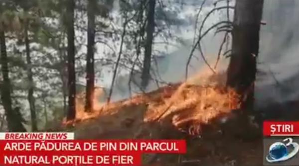 Incendiu de vegetaţie în România. Ard cinci hectare de pădure în Parcul Național Porțile de Fier