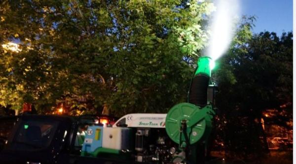 Ţânţari purtători ai virusului West Nile, depistaţi în Bucureşti. Primăria Capitalei anunță că a luat măsuri urgente 