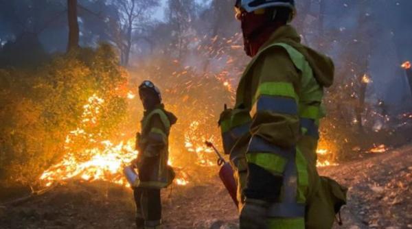 Franța. Un incendiu de vegetaţie a provocat pene de curent în Spania şi Portugalia. Sute de pompieri au intervenit