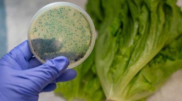 Epidemie de Norovirus la Râşnov. Peste 140 de persoane s-au prezentat la medic